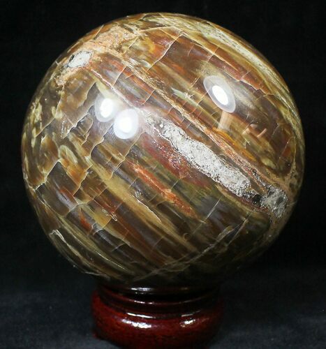 Colorful Petrified Wood Sphere #20606